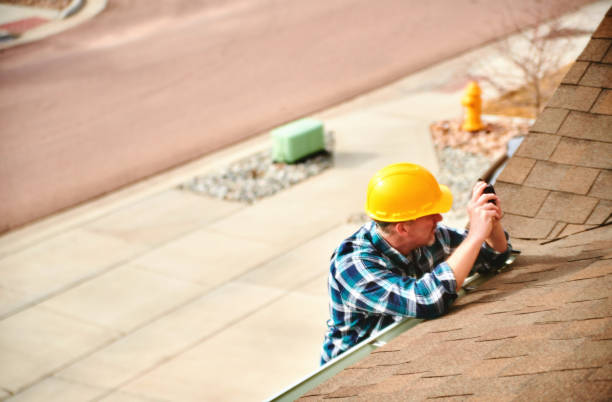 Best Storm Damage Roof Repair  in Dodson Branch, TN
