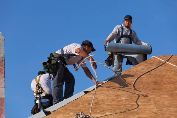 Best Storm Damage Roof Repair  in Dodson Branch, TN