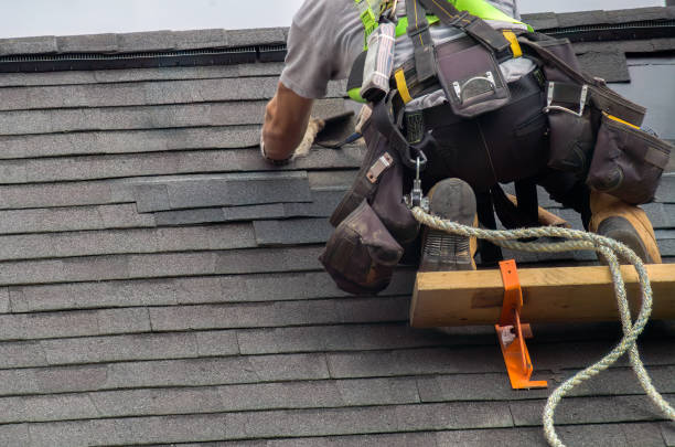 Roof Gutter Cleaning in Dodson Branch, TN