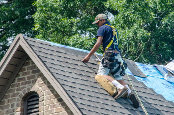 Best Flat Roof Repair Services  in Dodson Branch, TN