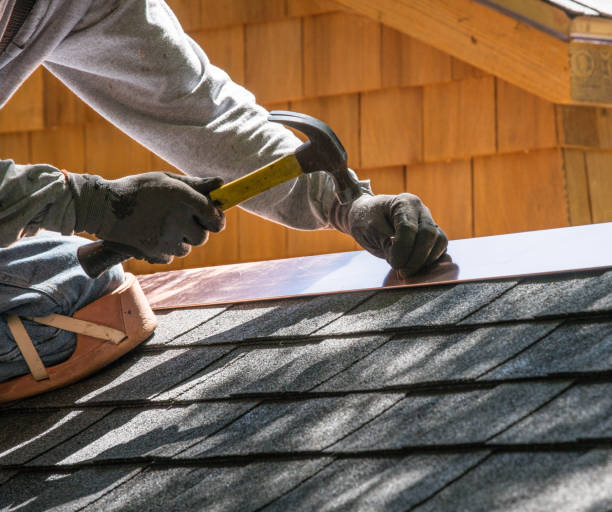 Best Metal Roofing Contractor  in Dodson Branch, TN